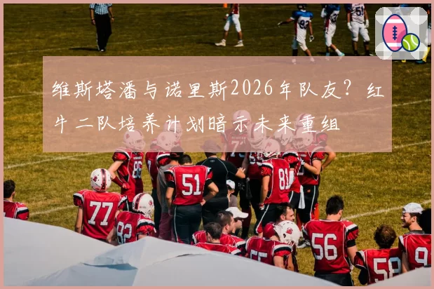 维斯塔潘与诺里斯2026年队友？红牛二队培养计划暗示未来重组