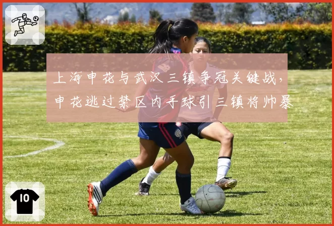 上海申花与武汉三镇争冠关键战，申花逃过禁区内手球引三镇将帅暴怒