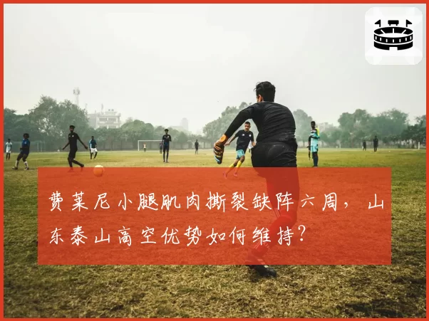 费莱尼小腿肌肉撕裂缺阵六周，山东泰山高空优势如何维持？